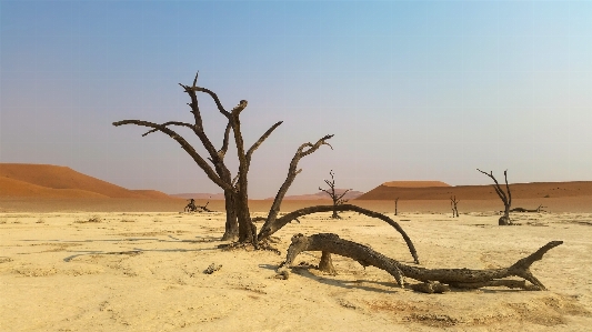 Beach landscape nature sand Photo