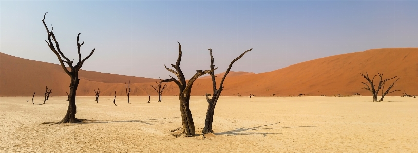 Landscape nature sand prairie Photo