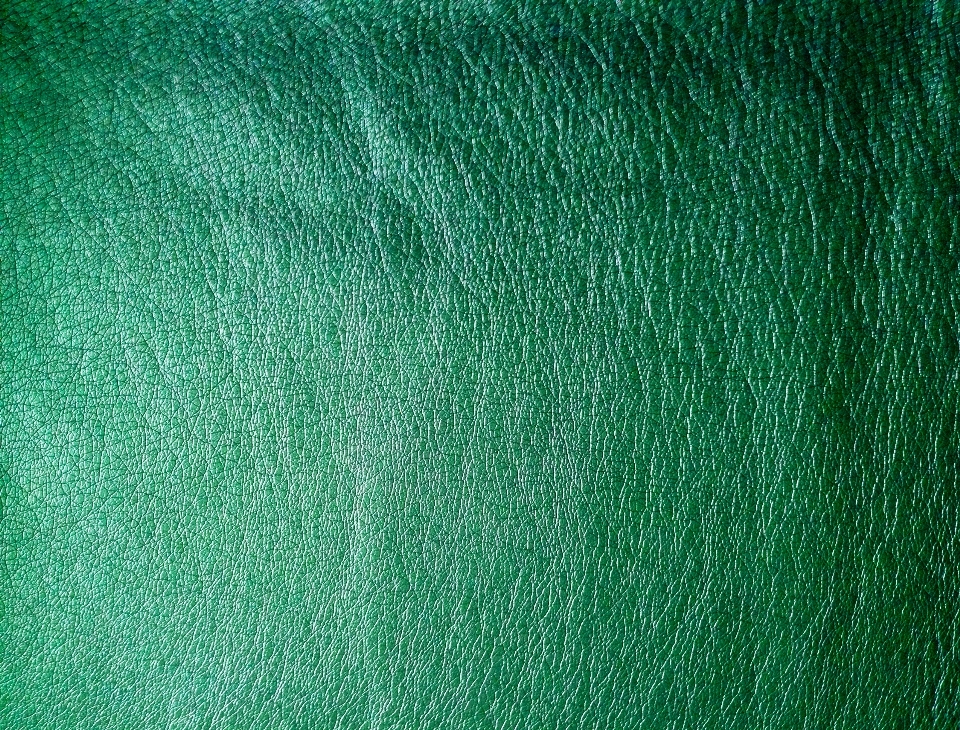 Grass plant leather lawn