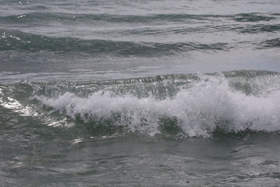 Beach sea coast water