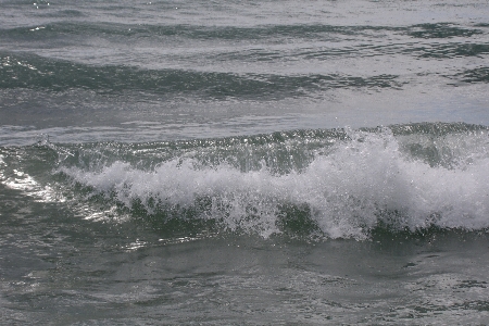 Foto Pantai laut pesisir air