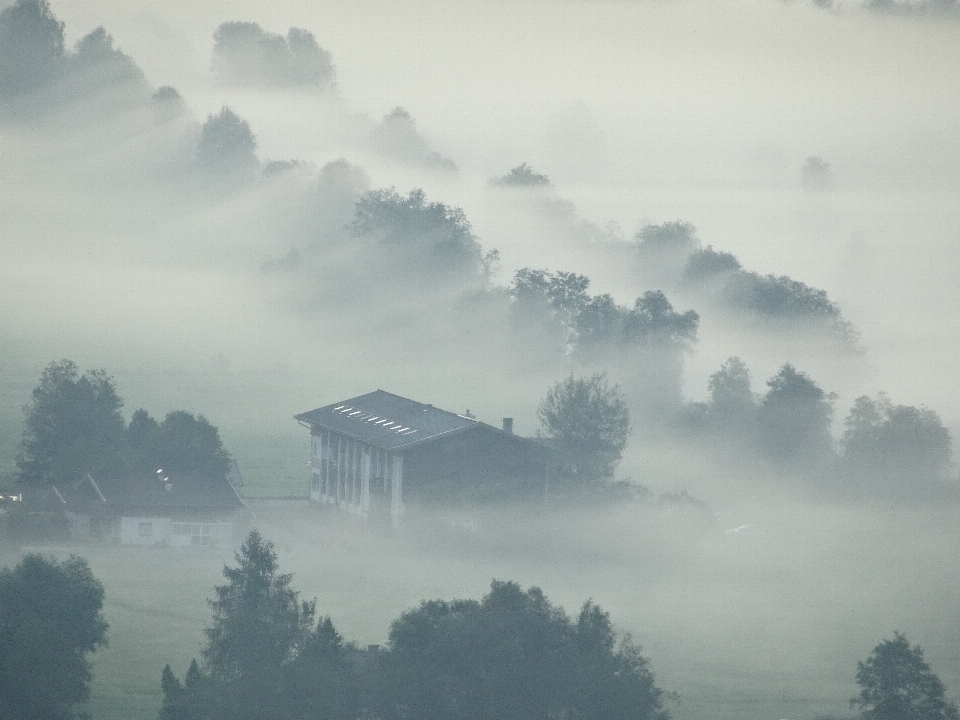 Krajobraz drzewo natura horyzont