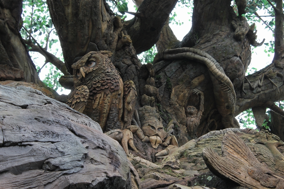 Tree bird wood trunk