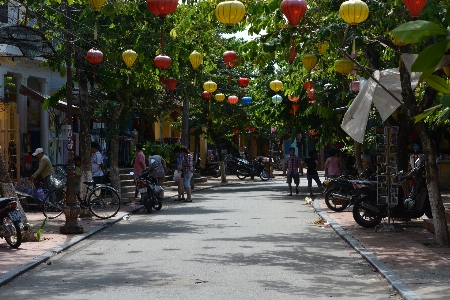 Pedestrian road street flower Photo