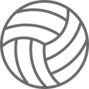 Volleyball ball Icon