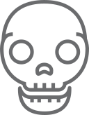 Skull Icon