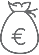 Euro bag Icon