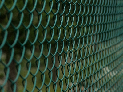 Fence texture leaf wall Photo