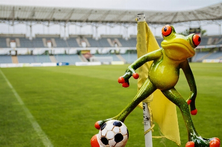 Foto Giocare dolce carino calcio