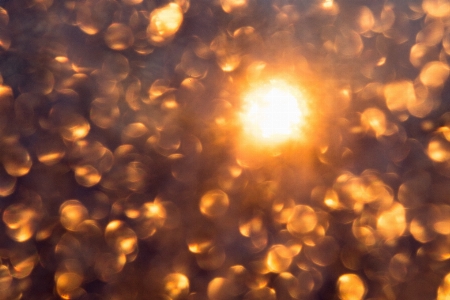 Photo Hiver lumière bokeh
 soleil