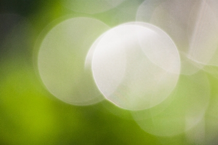 Light bokeh blur abstract Photo