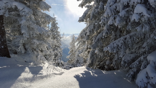 Landscape nature mountain snow Photo