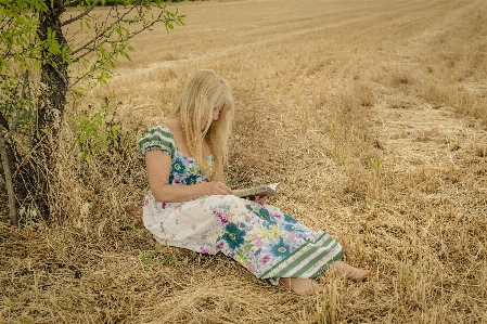 Landscape grass sand book Photo