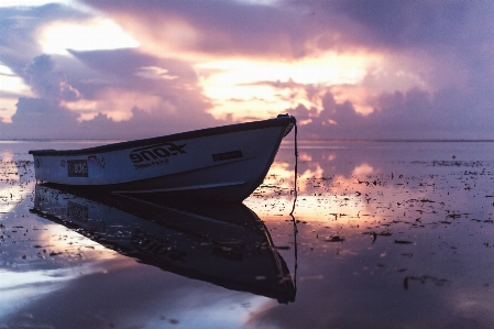 Beach sea coast water Photo