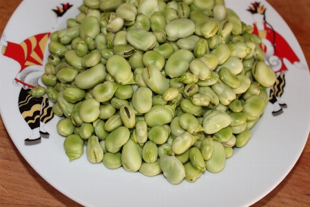 Nature plant dish food Photo