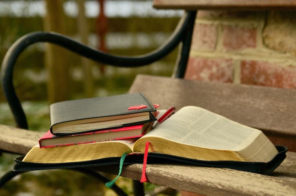 Notebook writing read wood