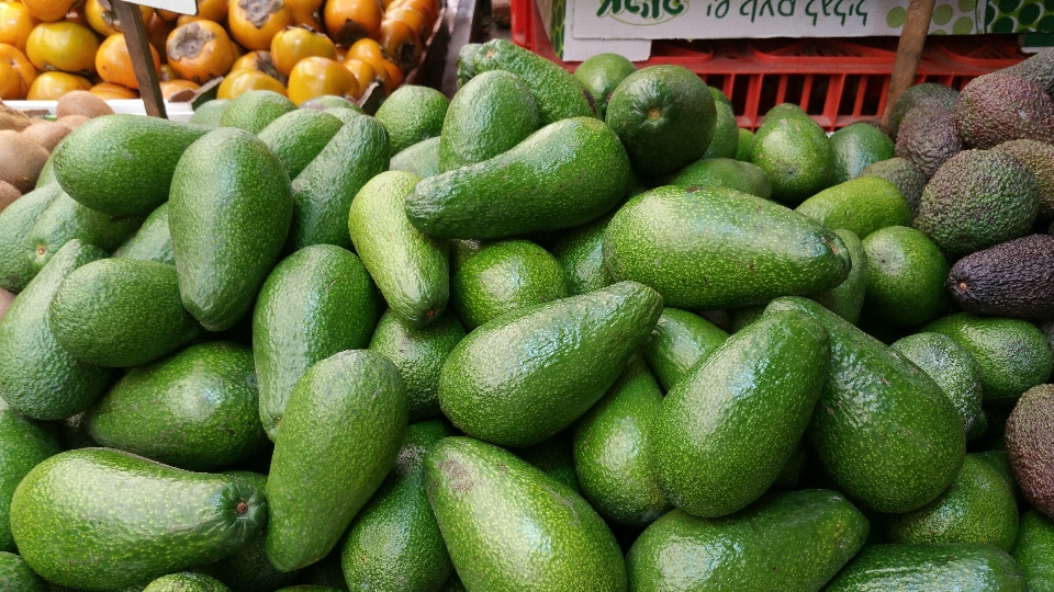 Natura pianta frutta cibo