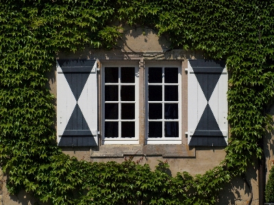 Architecture house window roof Photo