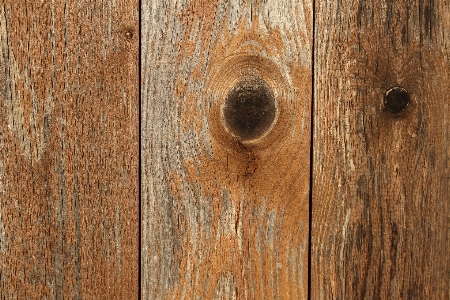 Structure wood grain texture Photo