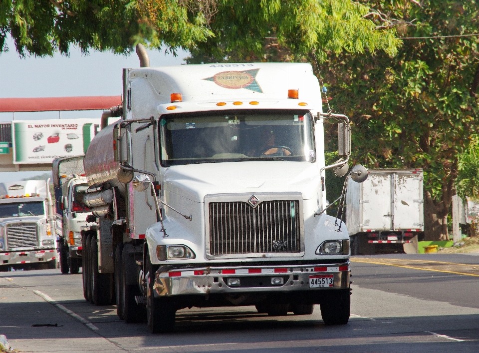 Transporte camión vehículo de motor
