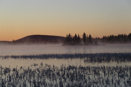 Landscape nature marsh wilderness Photo