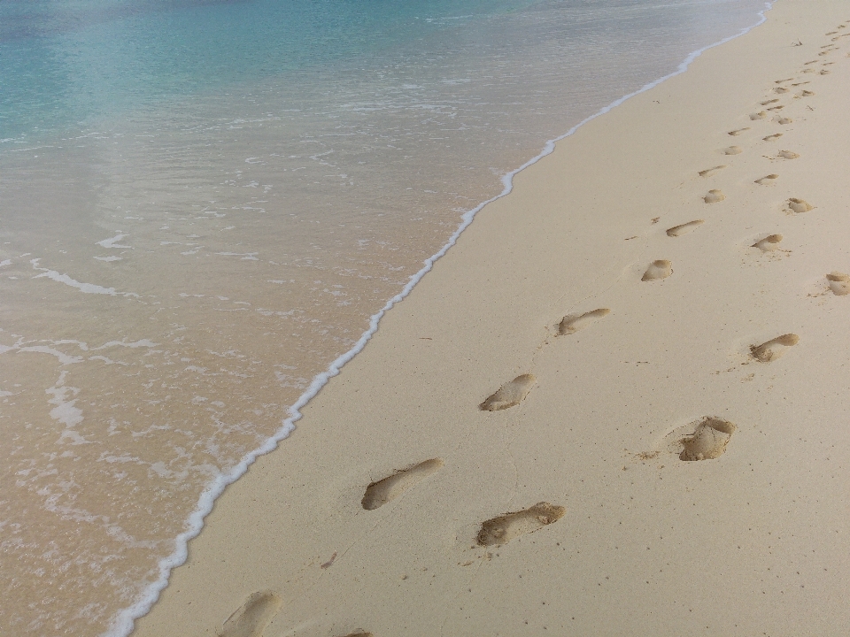 Beach sea coast water