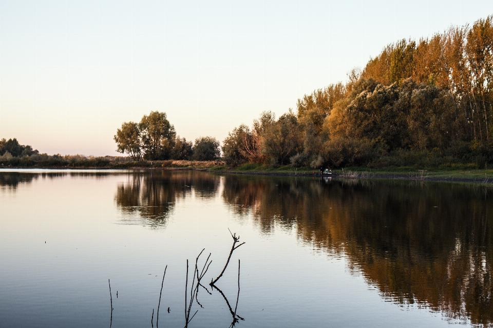 пляж пейзаж дерево вода