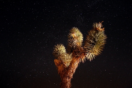 Landscape night cosmos desert Photo