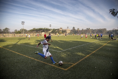 Grass structure sport field Photo