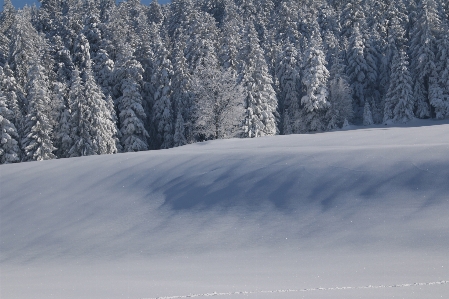 Nature mountain snow cold Photo