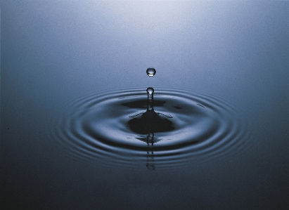 Water droplet drop liquid Photo