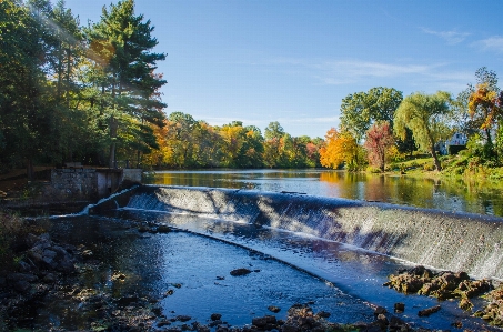 Landscape tree water nature Photo