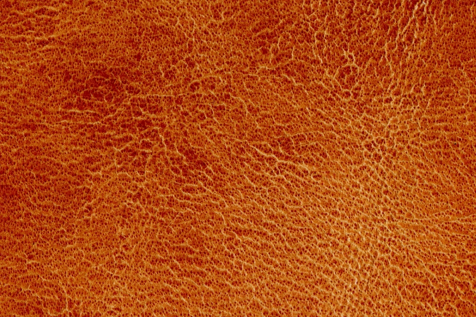 Nature sun leather texture