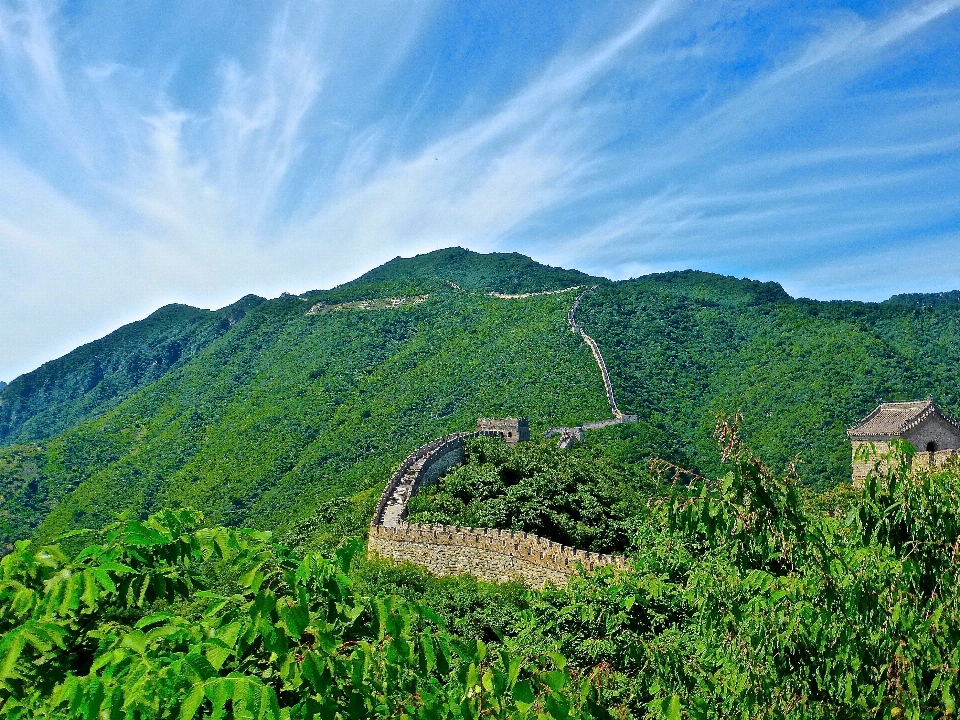 風景 自然 森 山