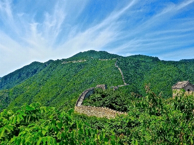 Landscape nature forest mountain Photo