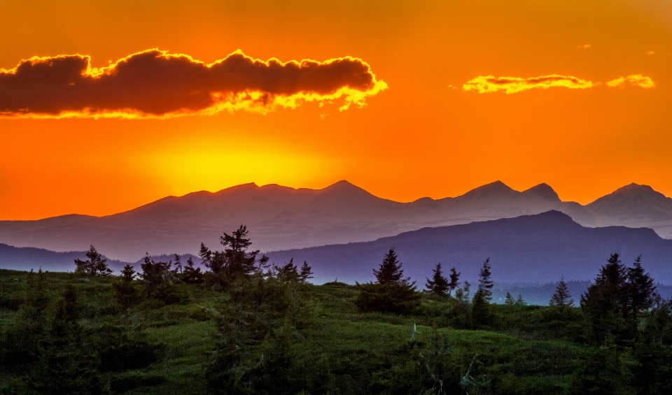 Landscape nature horizon wilderness