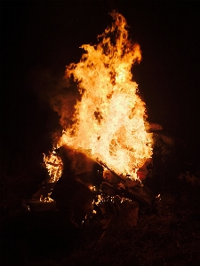 Flame fire campfire bonfire Photo