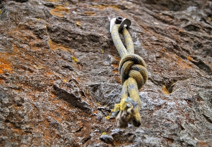 Nature rock mountain rope Photo