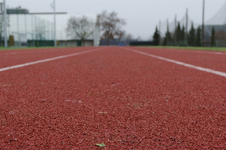 Grass structure track field Photo