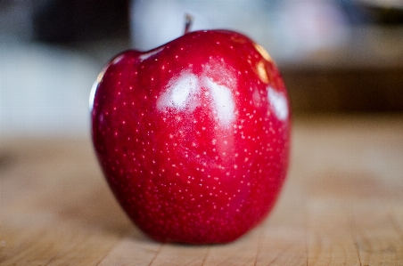 Apple plant fruit sweet Photo