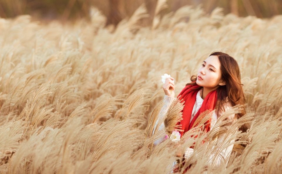 Woman field photography wheat