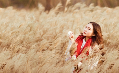 Woman field photography wheat Photo