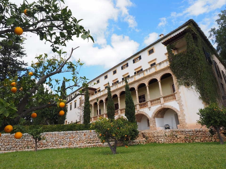 Villa mansión
 edificio palacio