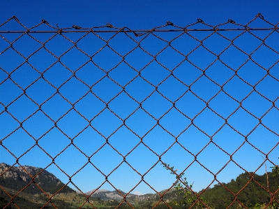 Fence wall wire line Photo