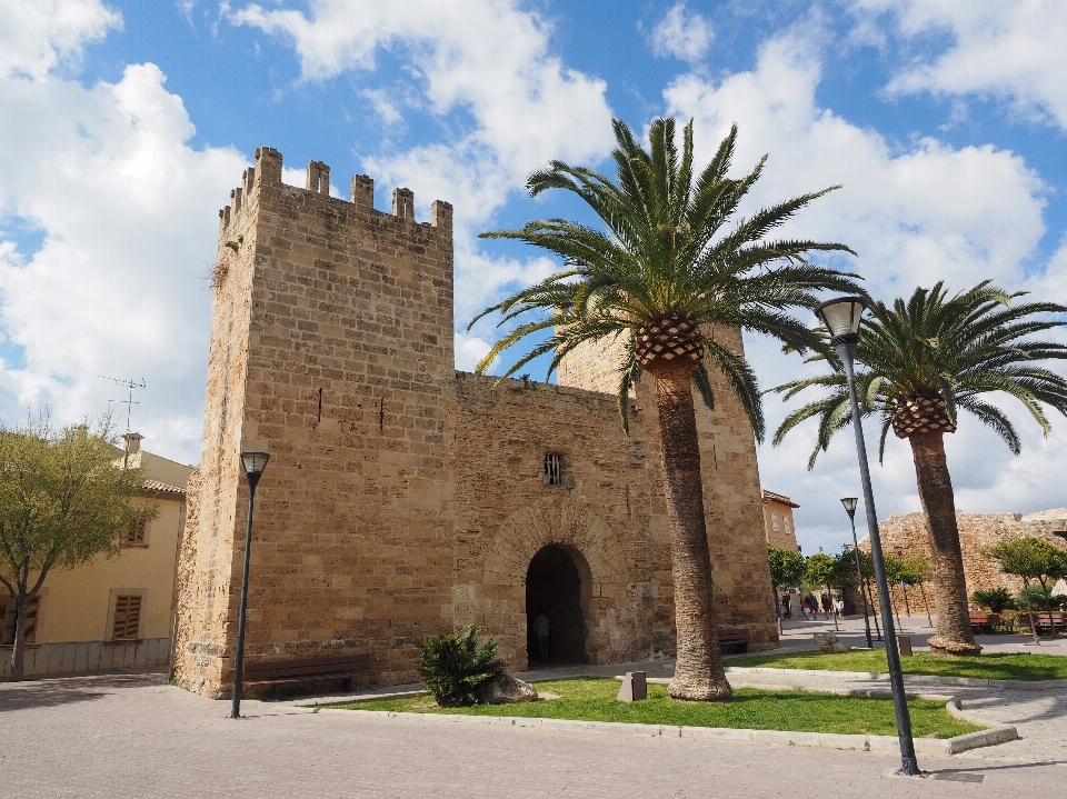 Albero edificio vacanza torre