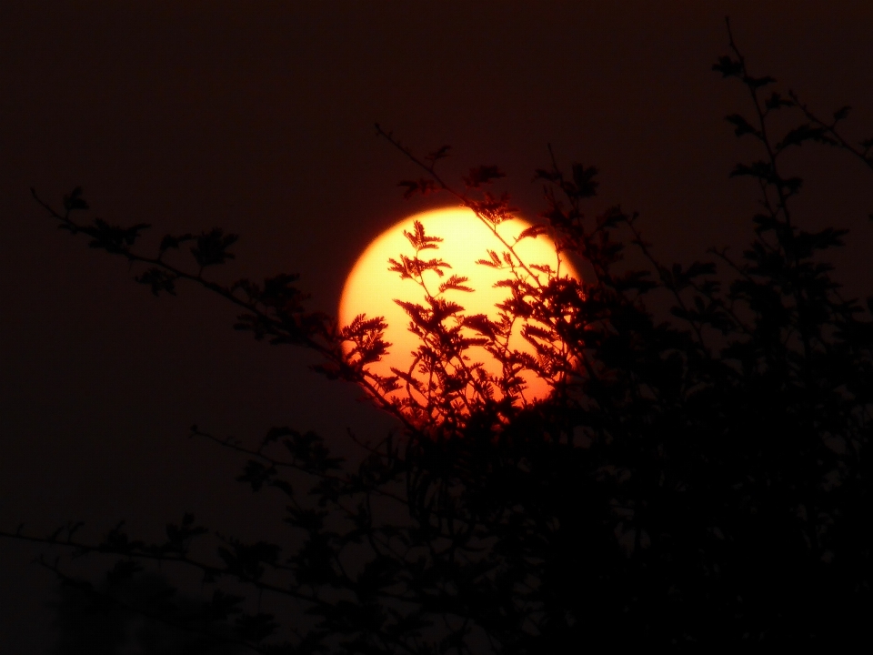 Sol atardecer noche luz de