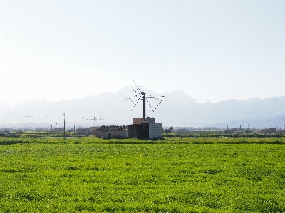 Grass wing field farm Photo