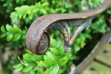 Nature wood bench spiral Photo