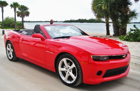 Beach open car wheel Photo