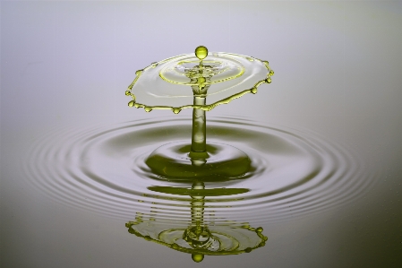 Table water drop liquid Photo